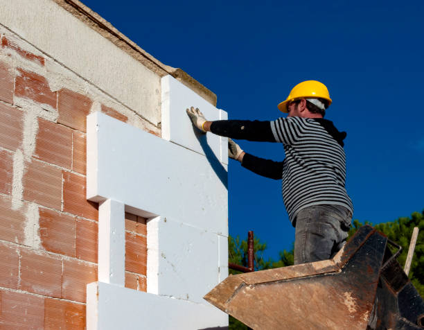 Best Insulation Maintenance and Repair in Wesley Chapel, FL