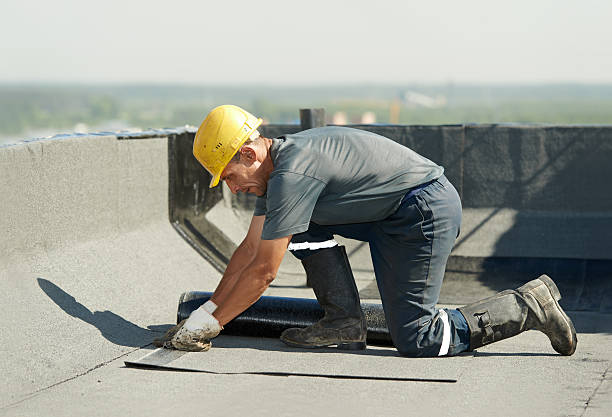 Best Insulation Materials and Products in Wesley Chapel, FL